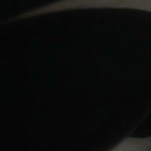 Meet your Posher, Franklin